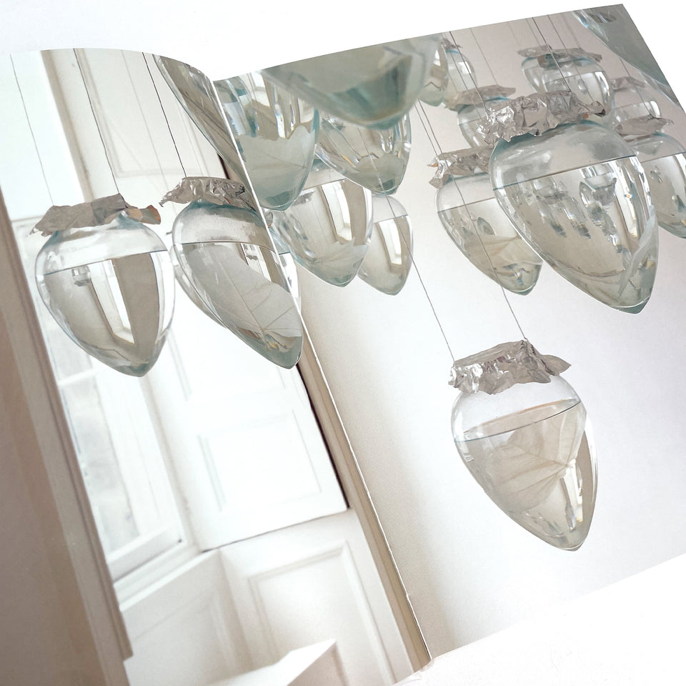 Christine Borland, Preserves