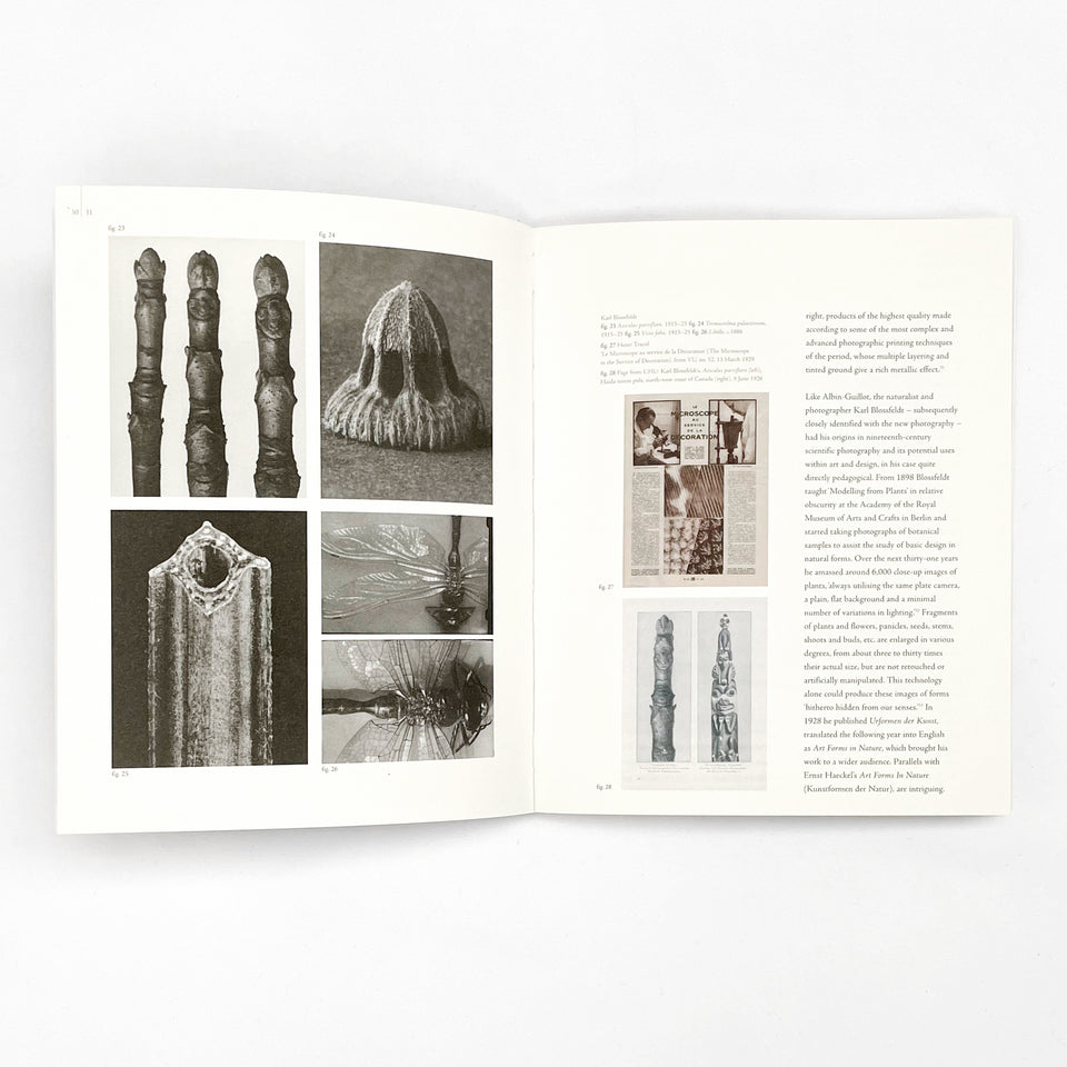 Close up, Proximity and Defamiliarisation in Art, Film and Photography