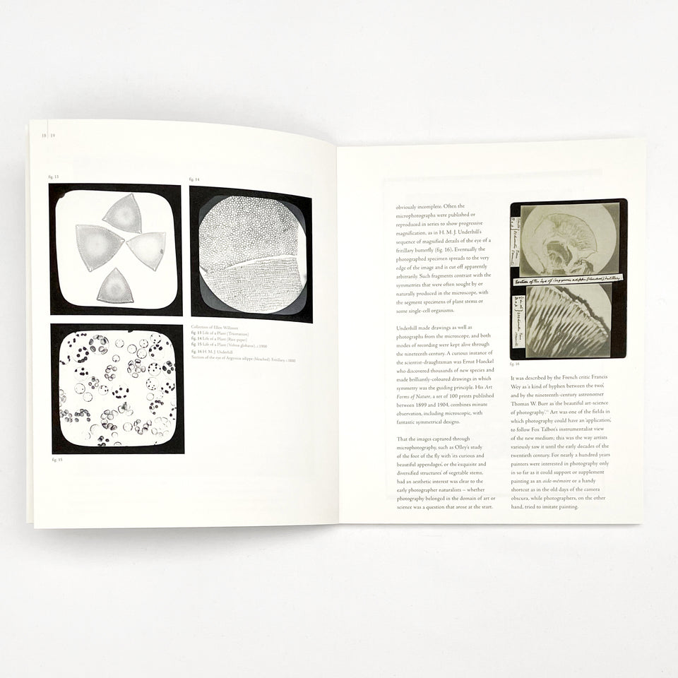 Close up, Proximity and Defamiliarisation in Art, Film and Photography