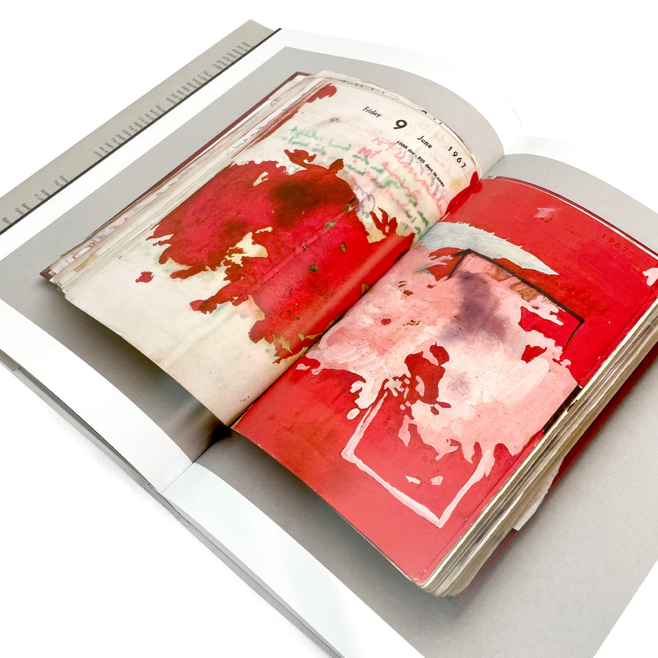 Dieter Roth, Diaries