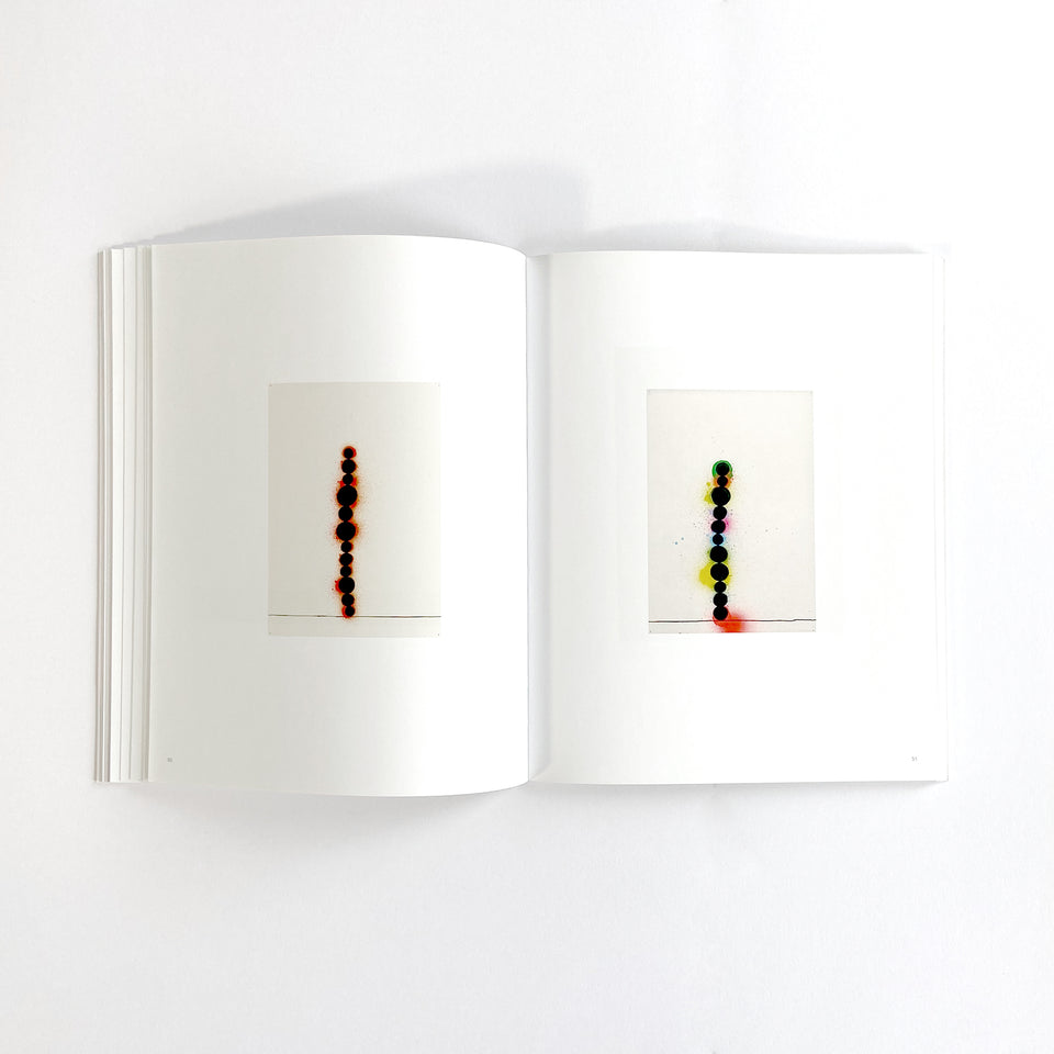 David Batchelor, Flatlands