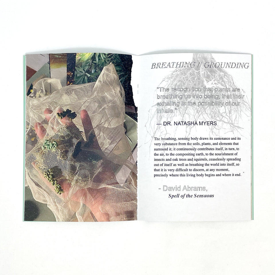 Giving Voice to: Paradise