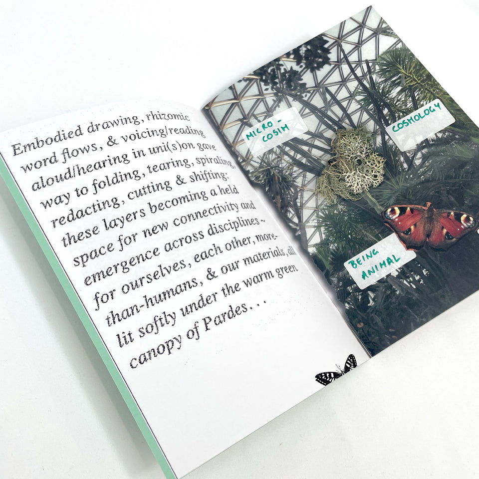 Giving Voice to: Paradise