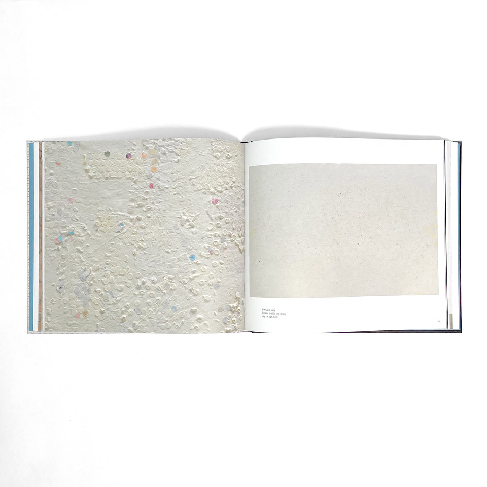 Howardena Pindell, A New Language