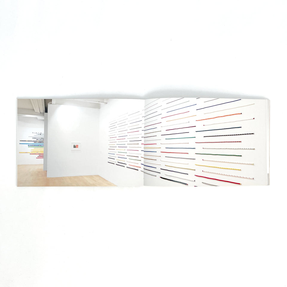 Jac Leirner, Add It Up