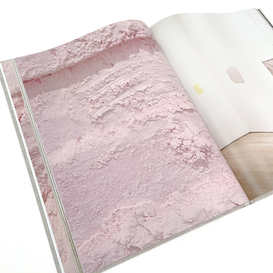 Karla Black, sculptures (2001 -2021) details for a retrospective