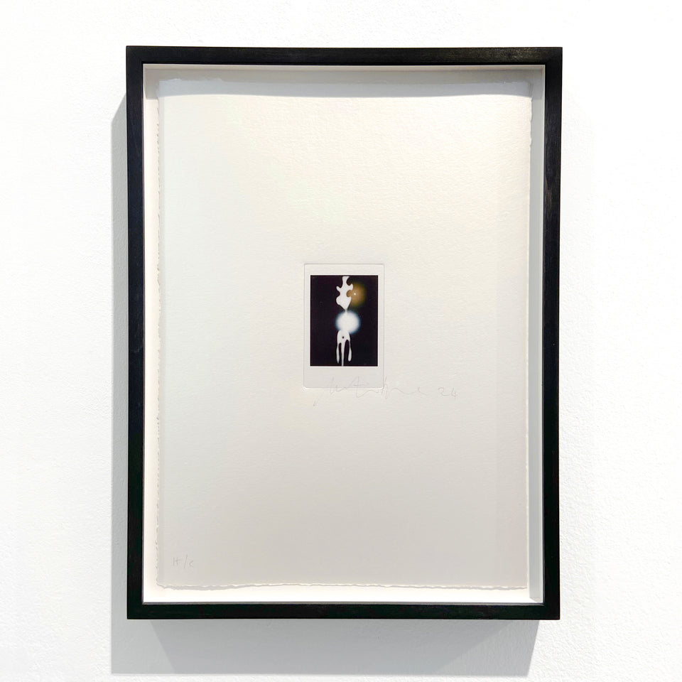 Martin Boyce, Captured Phantom, 2024