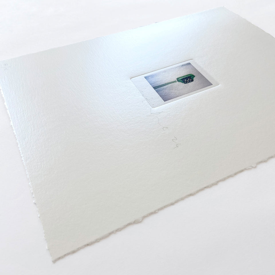 Martin Boyce: Shot Telephone, 2024