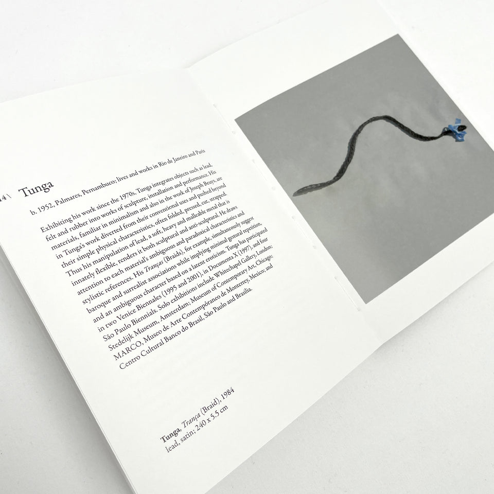 Possibilities of the Object, Experiments in Modern and Contemporary Brazilian Art