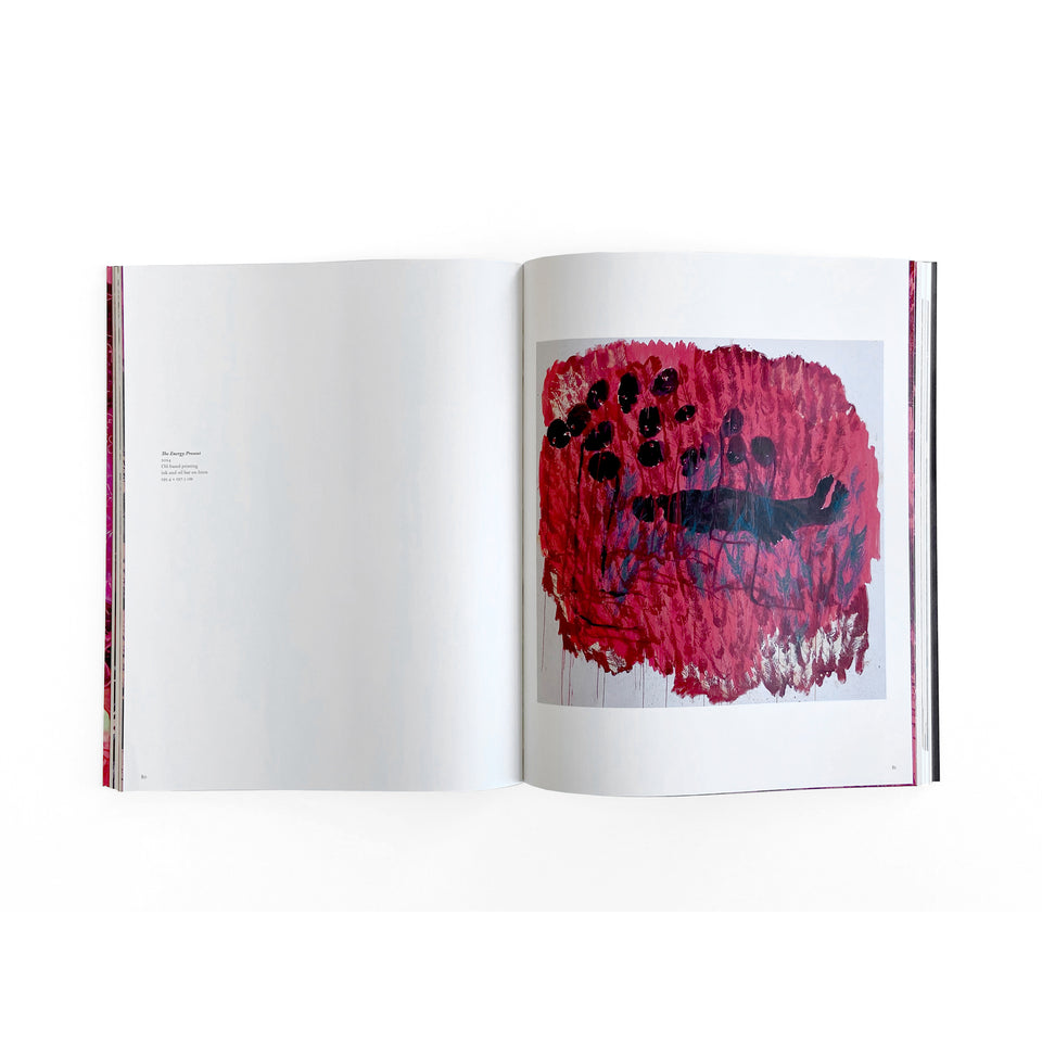 Portia Zvavahera, Zvakazarurwa