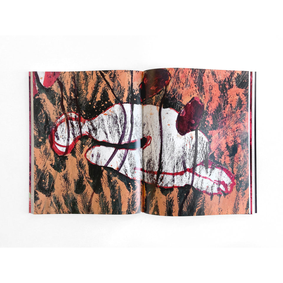 Portia Zvavahera, Zvakazarurwa