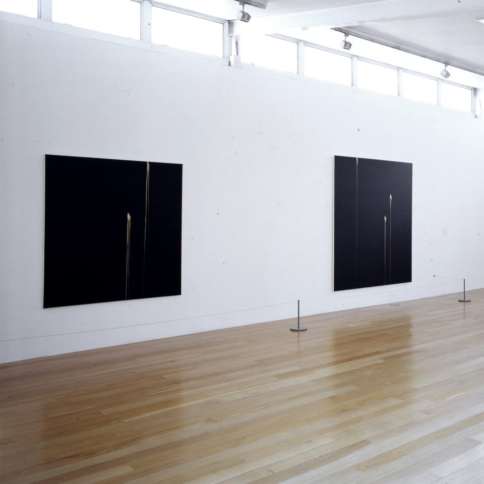 Callum Innes – Blanket