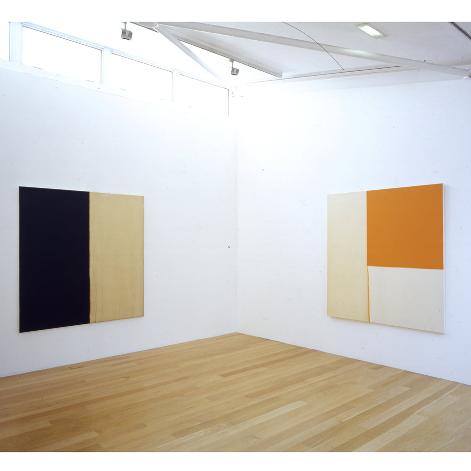 Callum Innes – Blanket