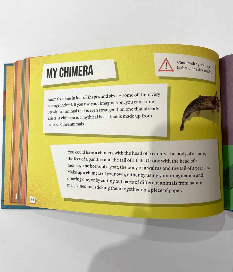 Screen-Free Fun by School of Life