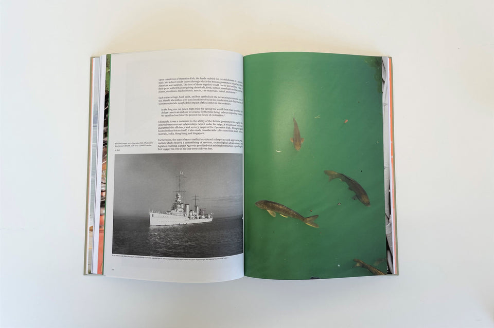 The Canary and the Hammer