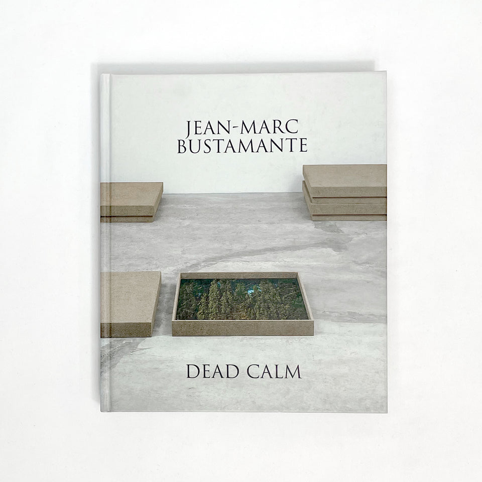 Jean Marc Bustamante, Dead Calm