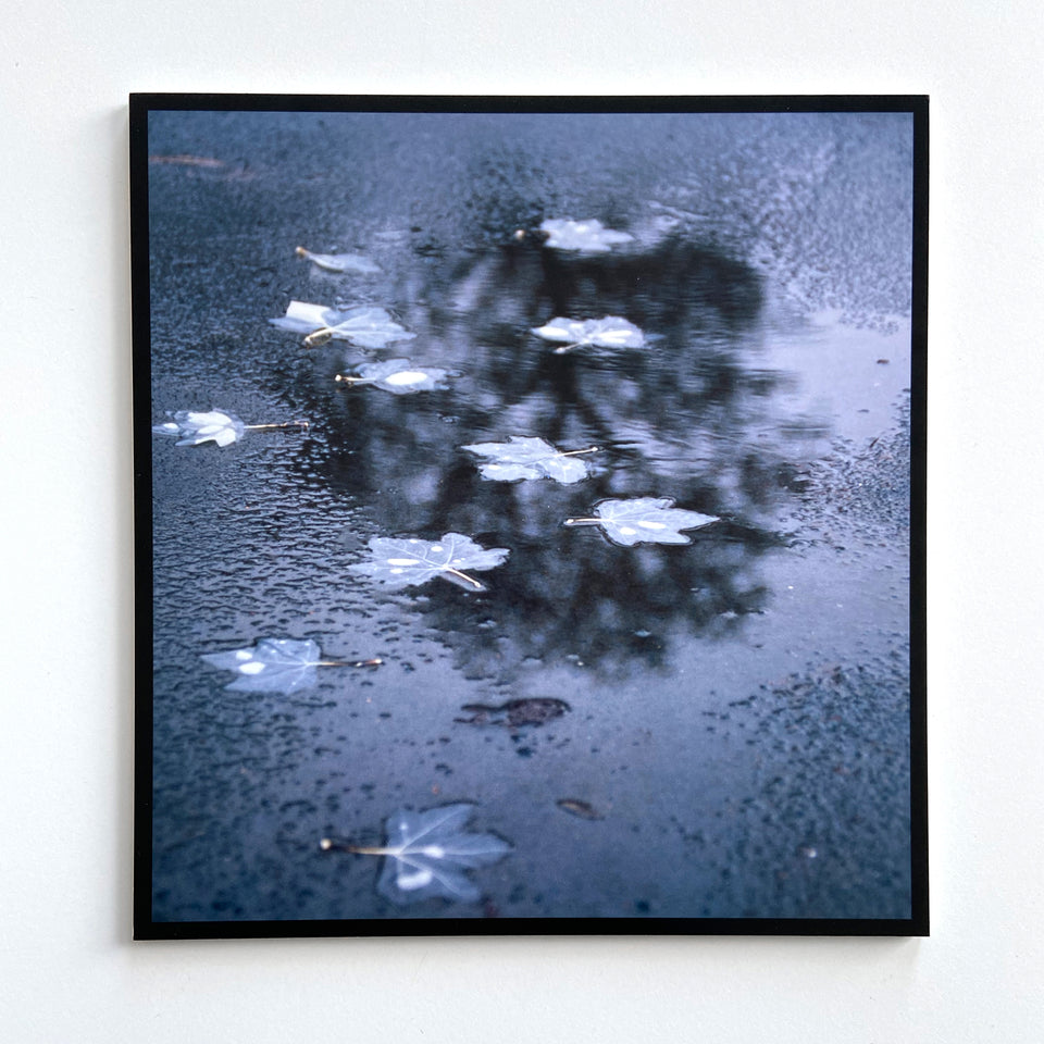 Framing for Christine Borland print