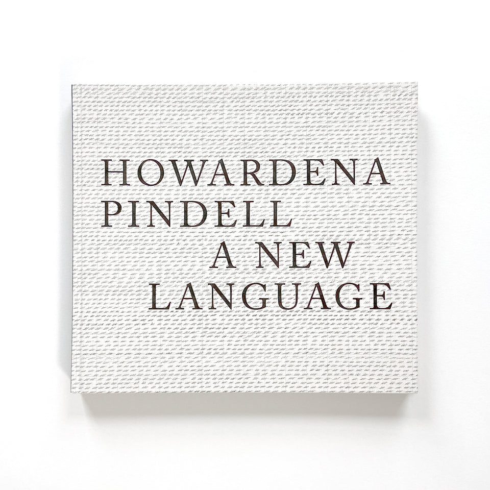 Howardena Pindell, A New Language