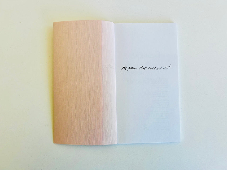 CAConrad and Anna Mendelssohn: the poem that could not wait